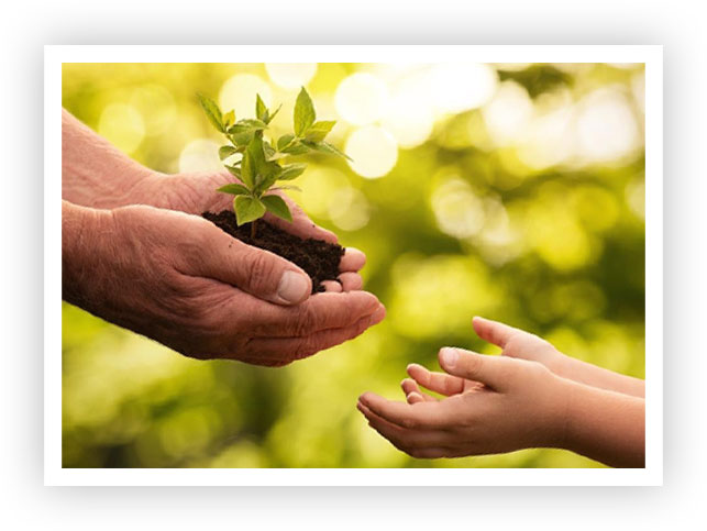 sustainability-hands-environmental-protection